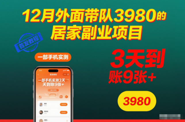 12月外面带队3980的居家副业项目，一部手机实测3天到账9张+，首发教程【揭秘】-喜学网