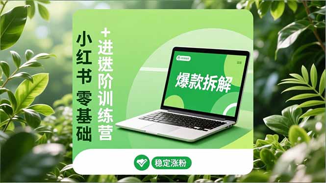 小红书零基础+高阶训练营：安全养号、爆款拆解、长效运营，实现稳定涨粉与变现-喜学网